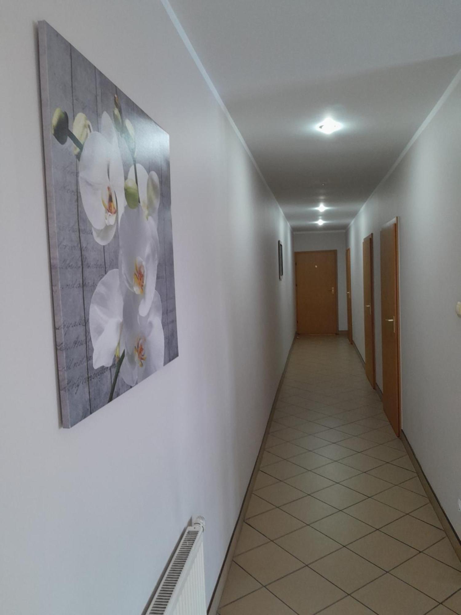 Hostel Polon Pułtusk Extérieur photo